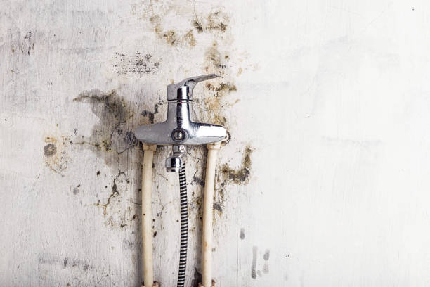 Best DIY Mold Remediation Support Services in Garden Home Whitfd, OR