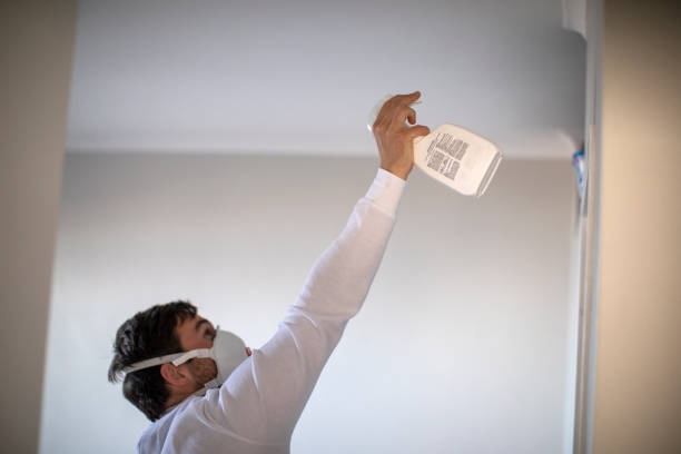 Best Insurance-Related Mold Remediation in Garden Home Whitfd, OR