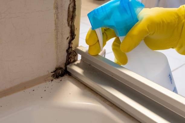 Best Mold Testing and Inspection Services in Garden Home Whitfd, OR